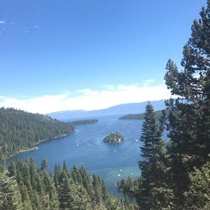 Meet your Posher, Lucy